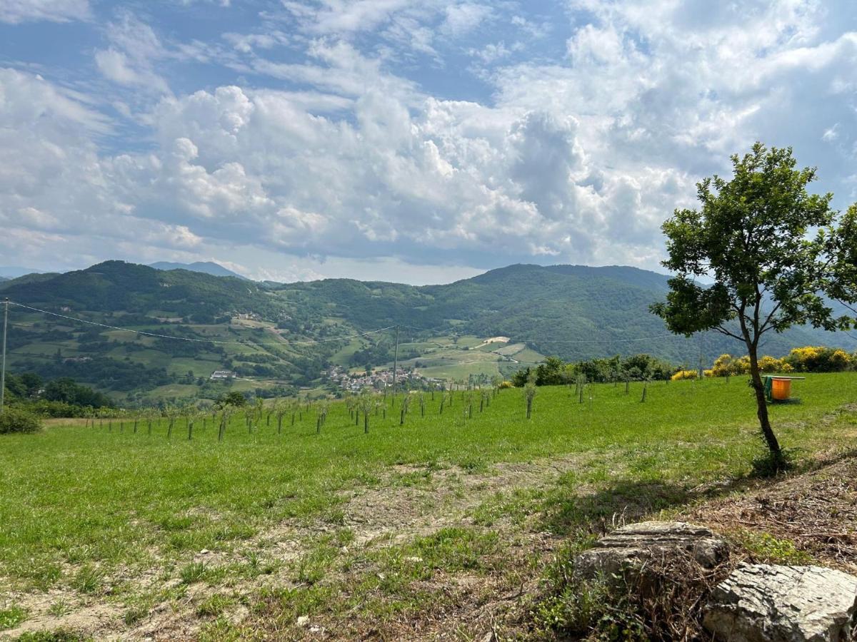 Agriturismo Cergallina Vernasca Exterior photo